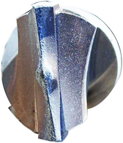 End view of a two-cutter carbide tip